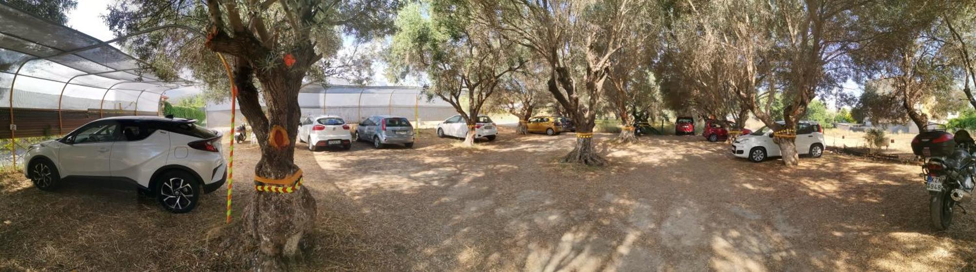 Apartment Evli